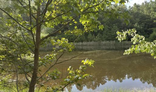 Photo #11 of 6056 Hobgood, Rougemont, NC 300.0 acres