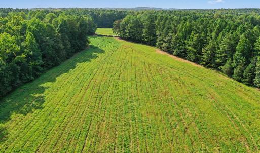 Photo #25 of 6056 Hobgood, Rougemont, NC 300.0 acres