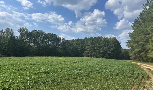 Photo #2 of 6056 Hobgood, Rougemont, NC 300.0 acres
