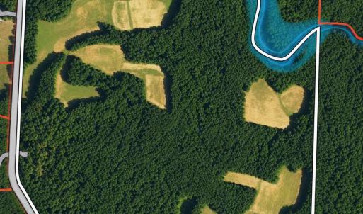 Photo #1 of 6056 Hobgood, Rougemont, NC 300.0 acres