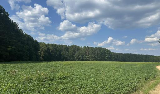 Photo #3 of 6056 Hobgood, Rougemont, NC 300.0 acres