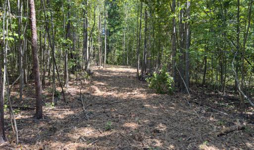 Photo #18 of Park Springs, Ruffin, NC 26.4 acres
