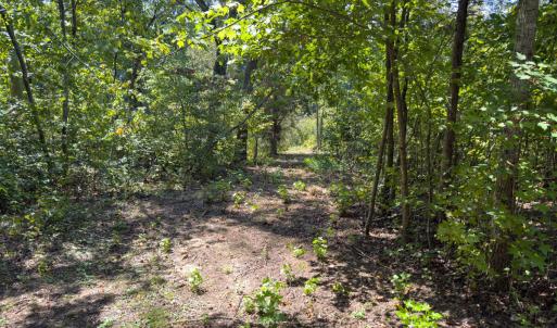 Photo #31 of Park Springs, Ruffin, NC 26.4 acres