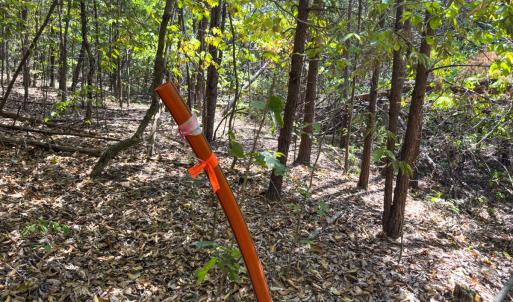 Photo #32 of Park Springs, Ruffin, NC 26.4 acres