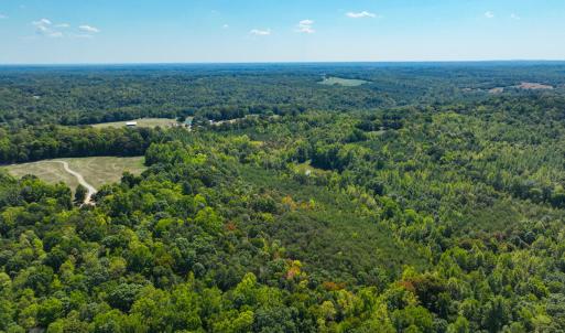 Photo #26 of Park Springs, Ruffin, NC 26.4 acres