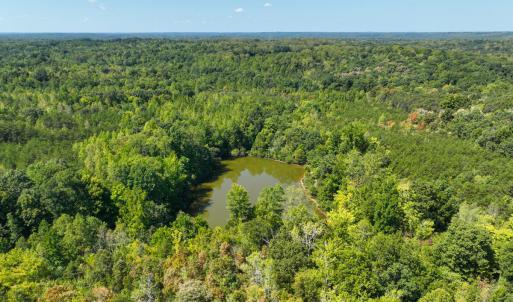 Photo #12 of Park Springs, Ruffin, NC 26.4 acres