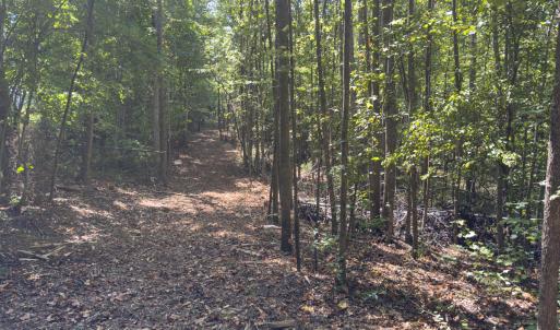 Photo #45 of Park Springs, Ruffin, NC 26.4 acres