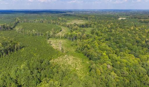 Photo #9 of Nc-43, Macon, NC 52.7 acres