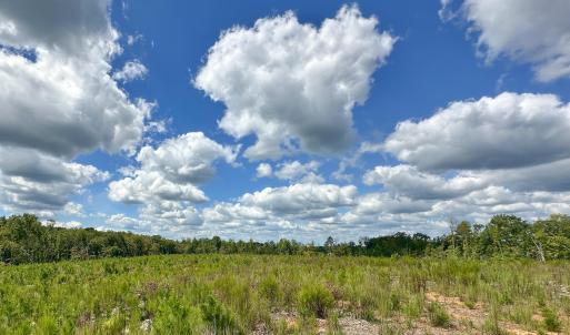 Photo #4 of Nc-43, Macon, NC 52.7 acres