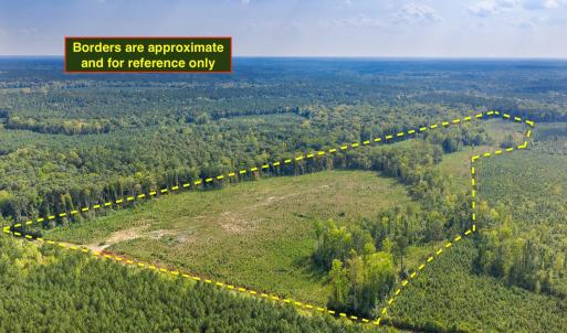 Photo #1 of Nc-43, Macon, NC 52.7 acres