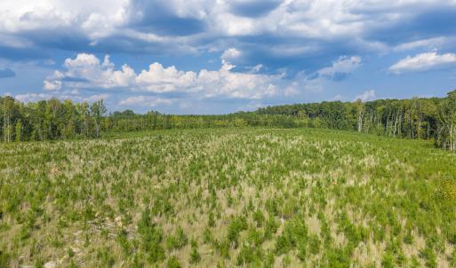 Photo #6 of Nc-43, Macon, NC 52.7 acres