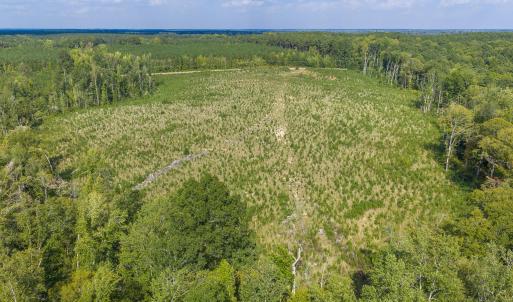 Photo #7 of Nc-43, Macon, NC 52.7 acres