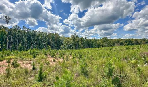 Photo #5 of Nc-43, Macon, NC 52.7 acres
