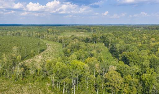 Photo #8 of Nc-43, Macon, NC 52.7 acres