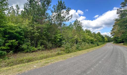 Photo #5 of Nc-43, Macon, NC 18.3 acres