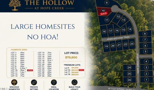 Photo #12 of Lot 19 Fern Hollow, Spring Hope, NC 0.7 acres