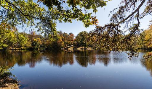 Photo #2 of Bob Vaughn, Graham, NC 9.3 acres