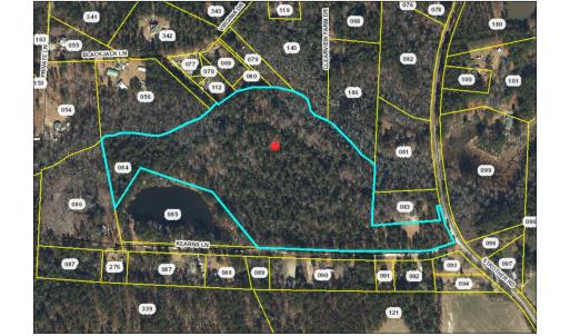 Photo #7 of 00-00 Strother, Aberdeen, NC 26.7 acres