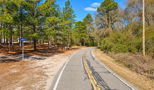 Photo #11 of 00-00 Strother, Aberdeen, NC 26.7 acres