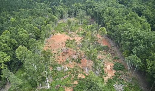 Photo #8 of Beal, Robbins, NC 59.0 acres