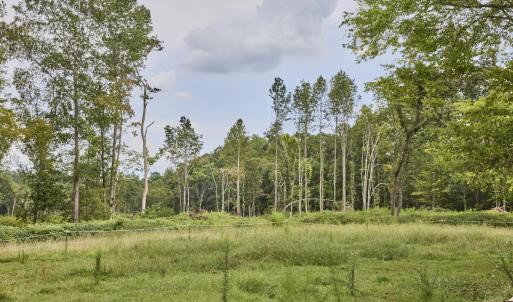 Photo #1 of Beal, Robbins, NC 59.0 acres