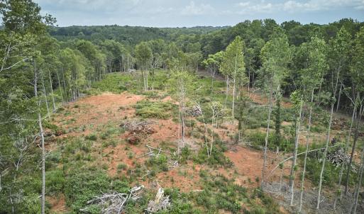 Photo #10 of Beal, Robbins, NC 59.0 acres