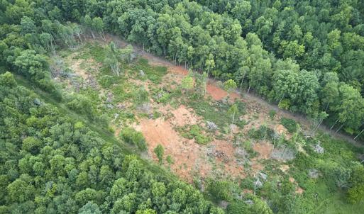 Photo #9 of Beal, Robbins, NC 59.0 acres
