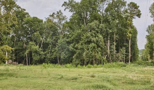 Photo #2 of Beal, Robbins, NC 59.0 acres