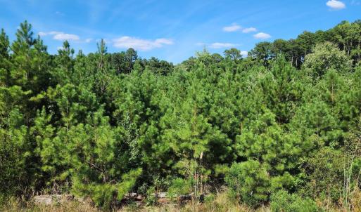 Photo #1 of Ten Ten, Apex, NC 8.6 acres