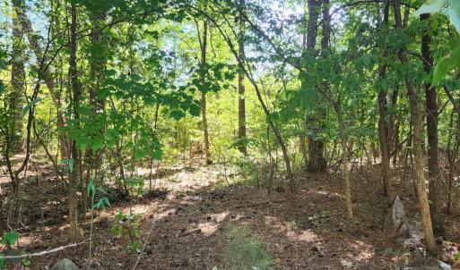 Photo #2 of Ten Ten, Apex, NC 8.6 acres