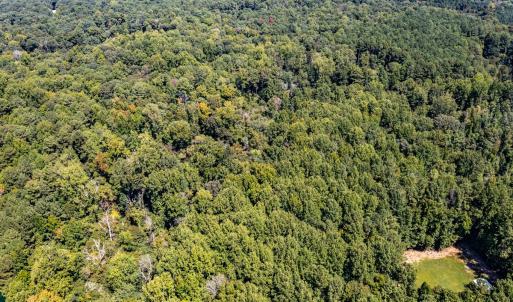 Photo #13 of 873 Six Mile, Chapel Hill, NC 10.0 acres