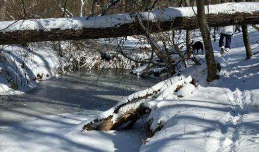 Photo #19 of 873 Six Mile, Chapel Hill, NC 10.0 acres