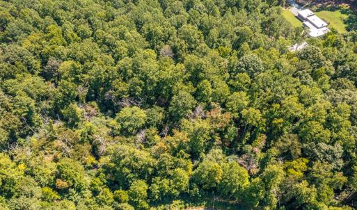 Photo #14 of 873 Six Mile, Chapel Hill, NC 10.0 acres