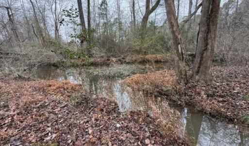 Photo #18 of 873 Six Mile, Chapel Hill, NC 10.0 acres