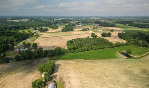Photo #7 of Mclamb, Dunn, NC 13.5 acres