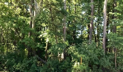 Photo #1 of Ten Ten, Fuquay Varina, NC 1.5 acres