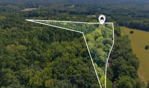 Photo #6 of 5354 Satterwhite Point, Henderson, NC 15.5 acres