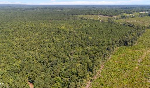Photo #5 of 1b Ponderosa, Cameron, NC 19.3 acres