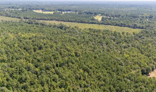 Photo #10 of 1b Ponderosa, Cameron, NC 19.3 acres