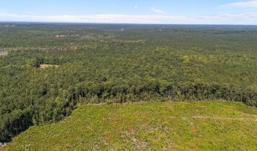 Photo #3 of 1b Ponderosa, Cameron, NC 19.3 acres
