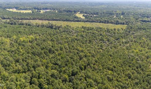 Photo #11 of 1b Ponderosa, Cameron, NC 19.3 acres