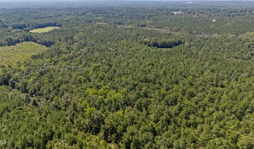 Photo #15 of 1b Ponderosa, Cameron, NC 19.3 acres