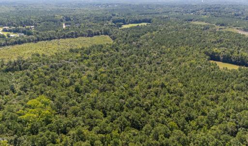 Photo #14 of 1b Ponderosa, Cameron, NC 19.3 acres