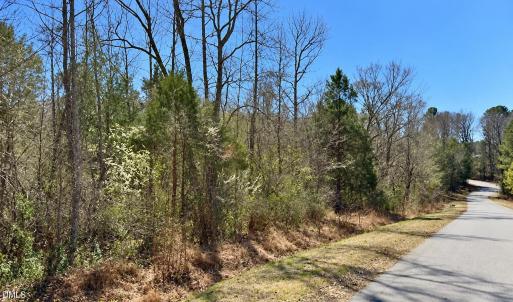 Photo #1 of 132 Bill Thomas, Moncure, NC 5.4 acres