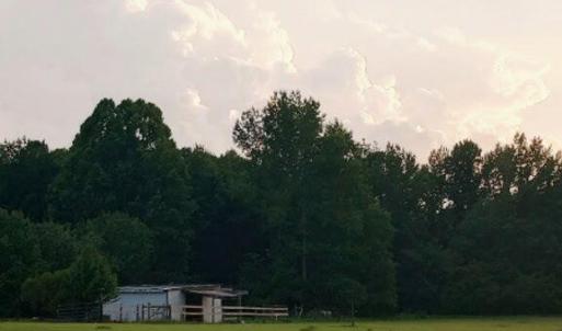 Photo #11 of 1376 Hickory Crossroads, Kenly, NC 10.9 acres