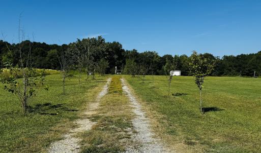 Photo #10 of 1376 Hickory Crossroads, Kenly, NC 10.9 acres