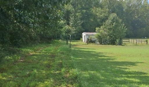 Photo #12 of 1376 Hickory Crossroads, Kenly, NC 10.9 acres
