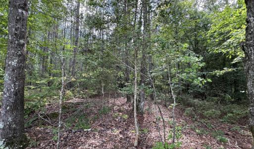 Photo #7 of New Elam Church, Moncure, NC 14.3 acres