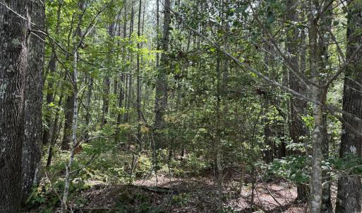 Photo #1 of New Elam Church, Moncure, NC 14.3 acres