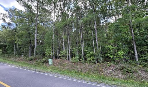 Photo #3 of New Elam Church, Moncure, NC 14.3 acres